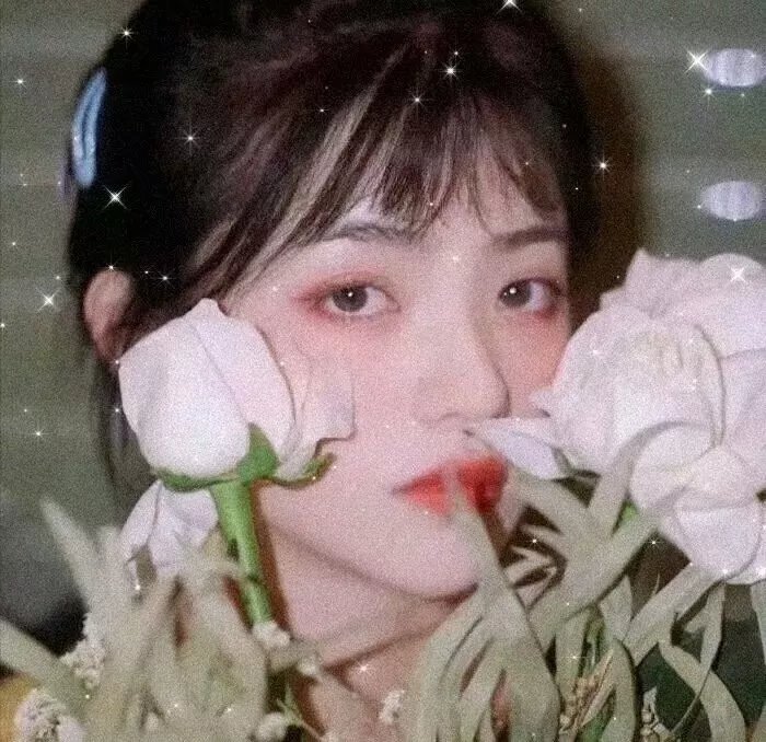 天皇的御厨